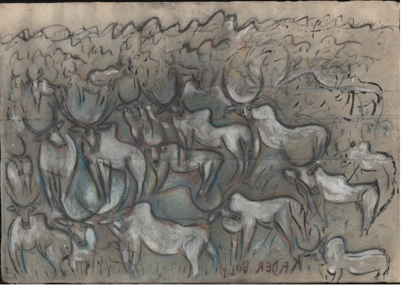 Animal Migrations